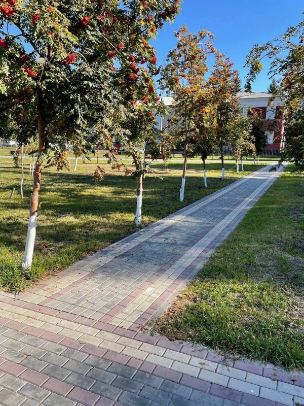 Романовский район с. Романово Парк Центральный