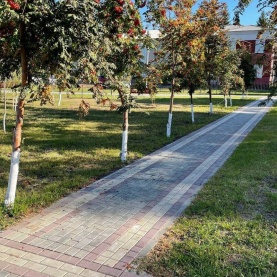 Романовский район с. Романово Парк Центральный